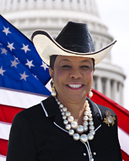 photo of representative Frederica S. Wilson