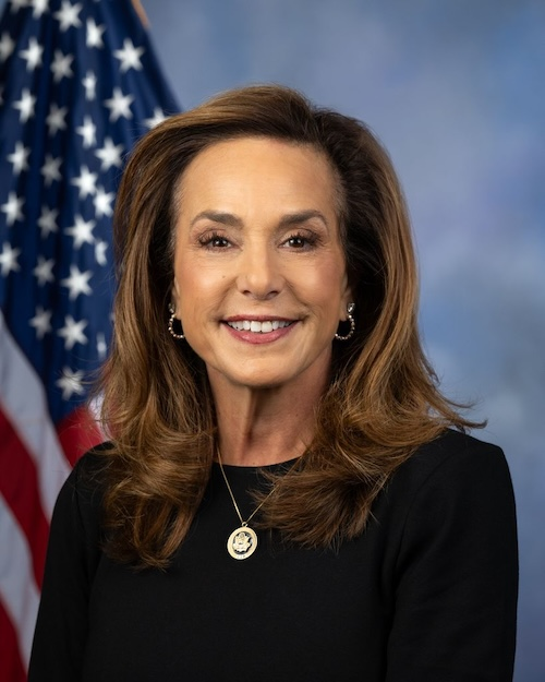 photo of representative Lisa C. McClain