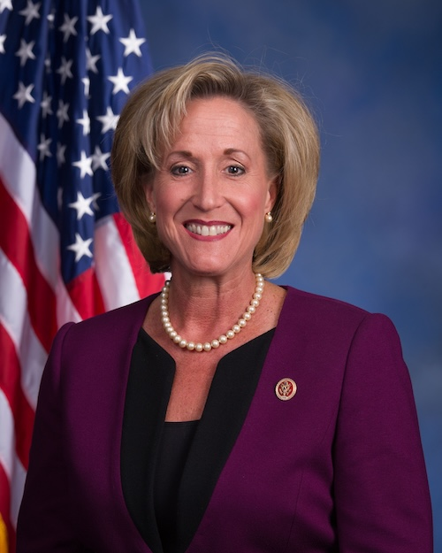 photo of representative Ann Wagner